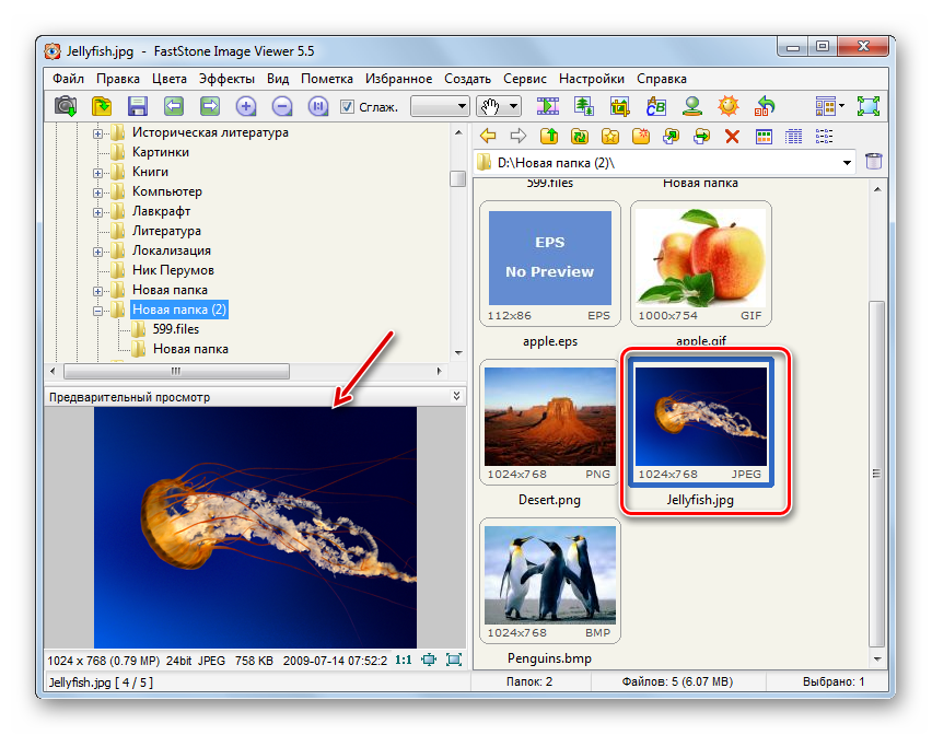 Переход к полноэкранному просмотру изображения JPG в файловом менеджере программы FastStone Image Viewer